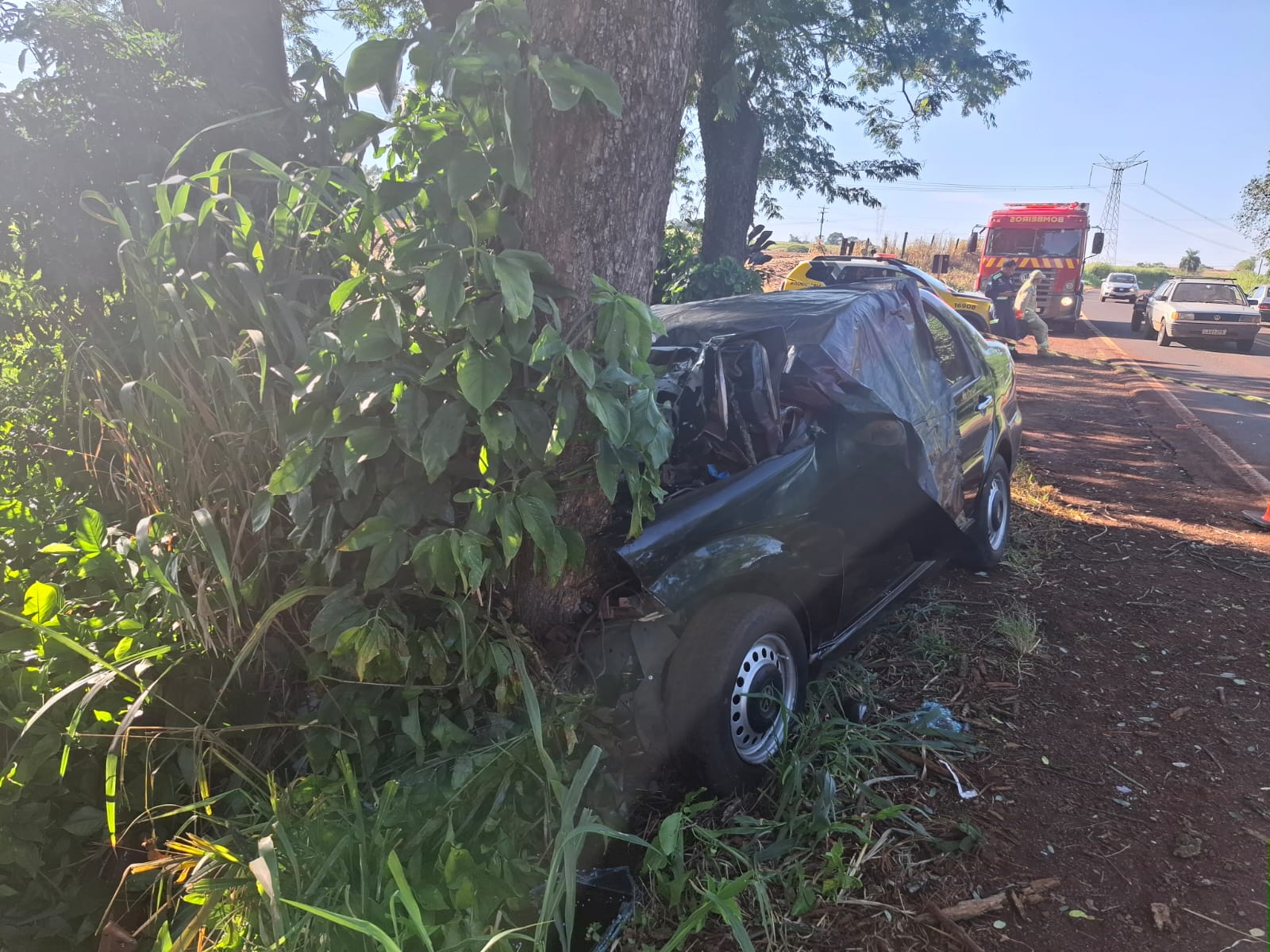 Casal morre após carro sair da pista e bater em árvore na PR-497 em São Miguel do Iguaçu