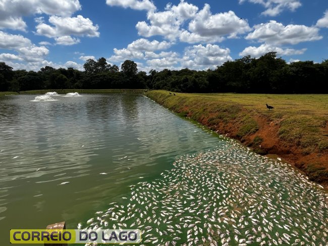 Produtor do interior de Santa Helena perde metade da produção de tilápias por falha no fornecimento de energia elétrica da Copel