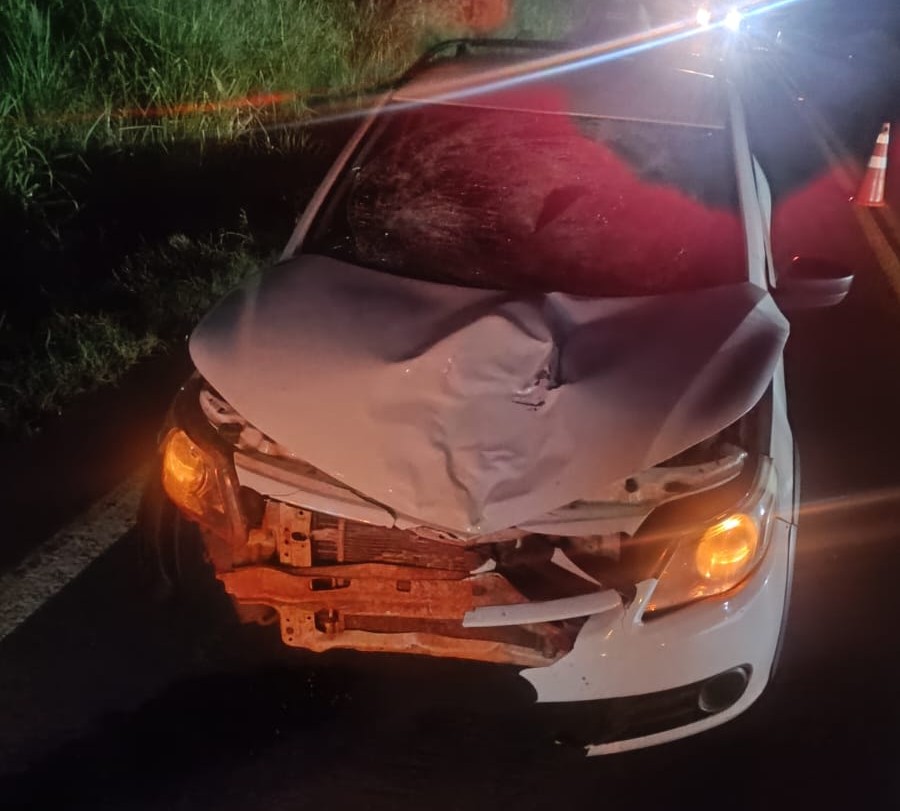 Pedestre morre após atropelamento na PR-484, em Quedas do Iguaçu