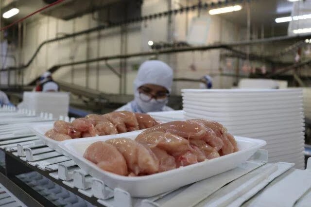Menor oferta eleva o preço da carne de frango em novembro